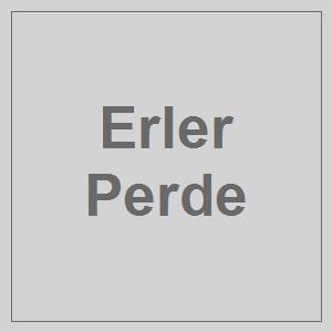 Erler Perde